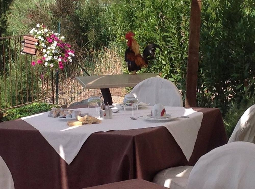 La Locanda Di Ortimino Montespertoli Exteriér fotografie